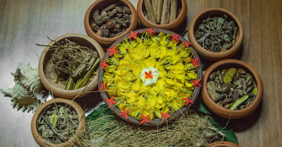 Qualified and experienced therapists at the Sigiriya Village Hotel