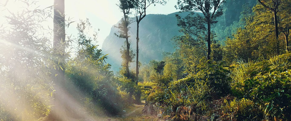 A boat ride on the Benthara River